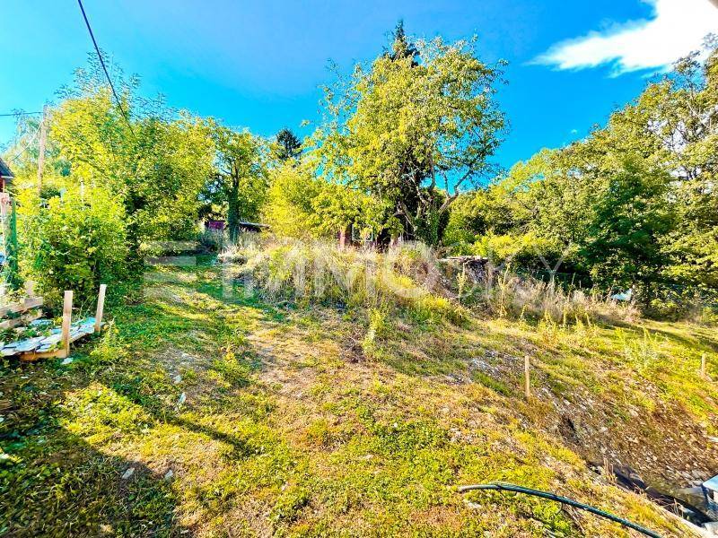 Grüner Gartenbereich mit leichtem Hang, umgeben von Bäumen und Sträuchern unter blauem Himmel.