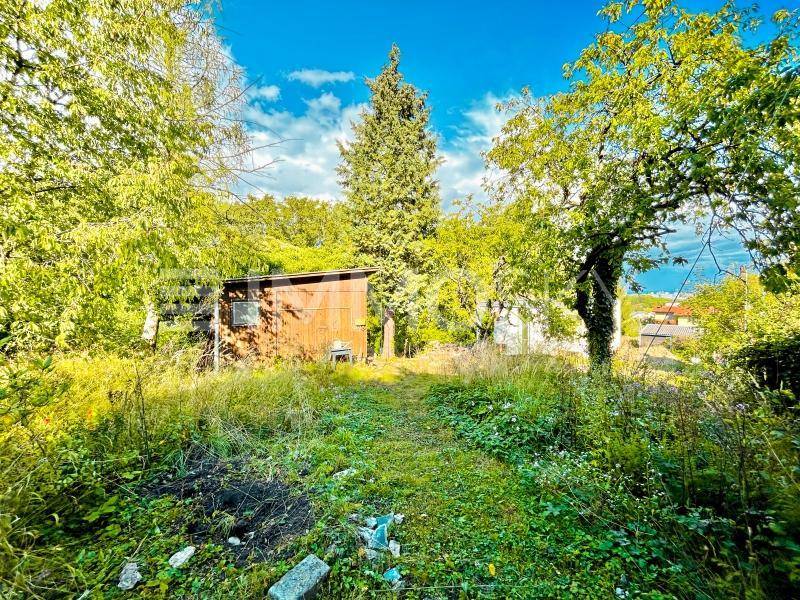 Verwilderter Gartenweg führt zu einer kleinen Holzhütte, umgeben von üppigem Grün und Bäumen.