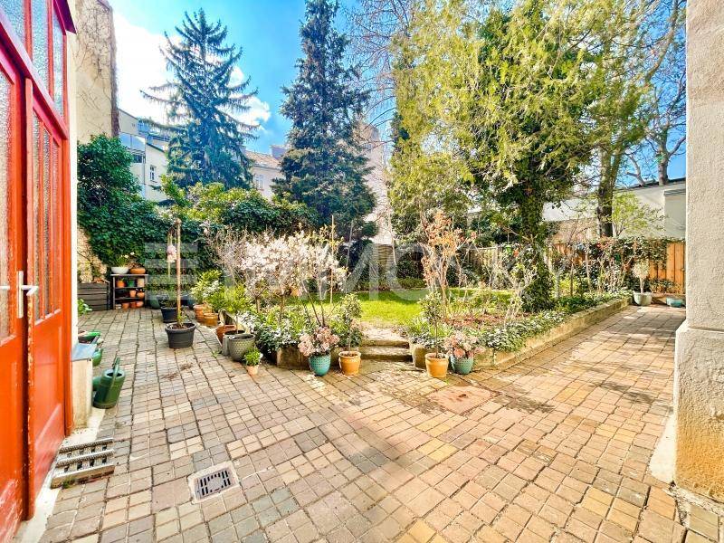 Sonniger Gartenbereich mit gepflasterter Terrasse, Rasenfläche und vielfältigen Pflanzen in Töpfen.