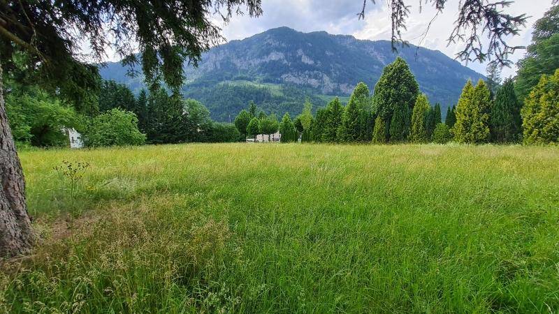 Weitläufige grüne Wiese mit dichtem Baumbestand und imposantem Bergblick unter bewölktem Himmel.