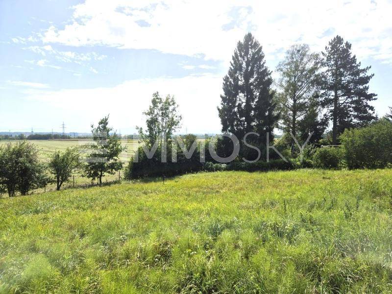 Weitläufige grüne Landschaft mit Bäumen und Feldern in der Ferne unter einem teilweise bewölkten Himmel.