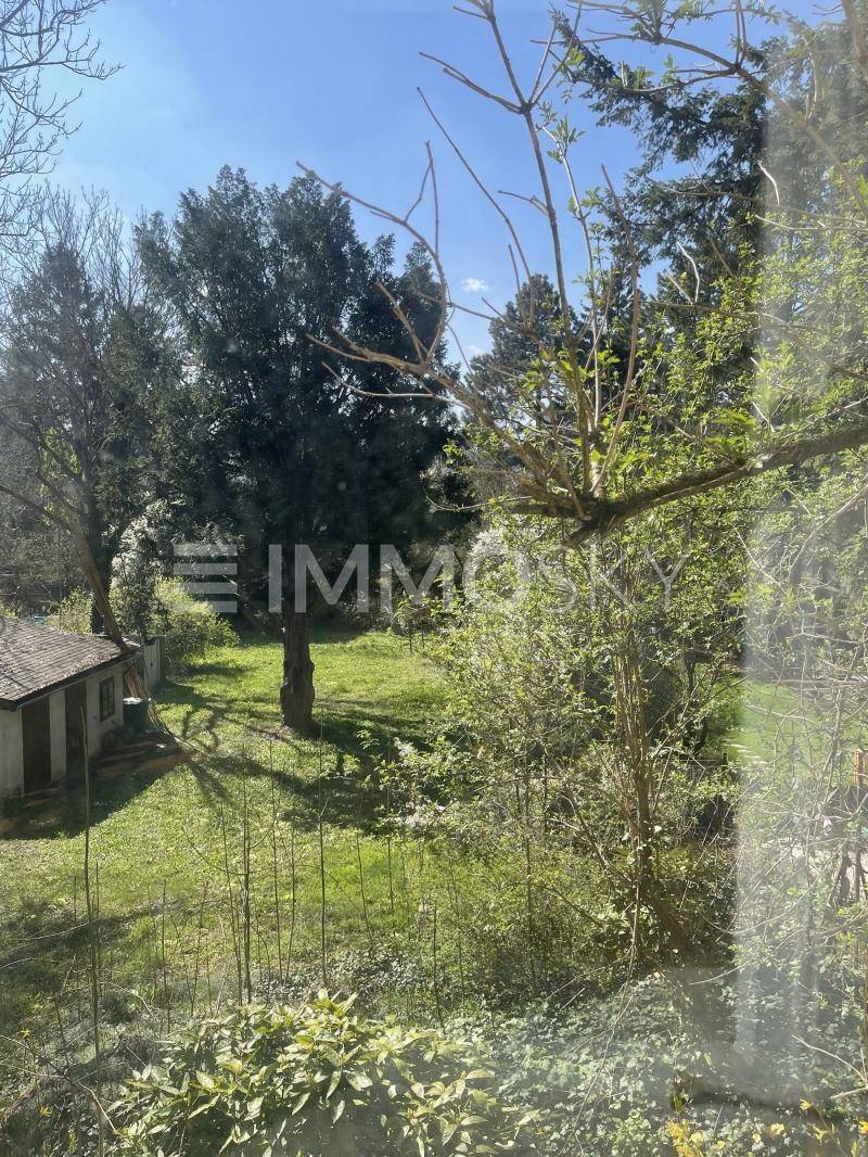 Blick aus einem Fenster auf den grünen Garten mit Bäumen und einem kleinen Schuppen.