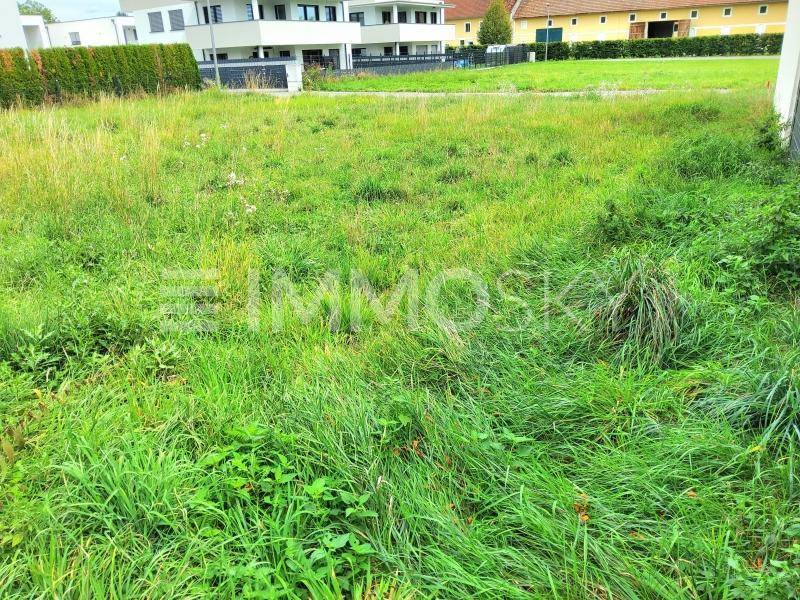 Bauland für Traumvilla ohne Bauzwang!