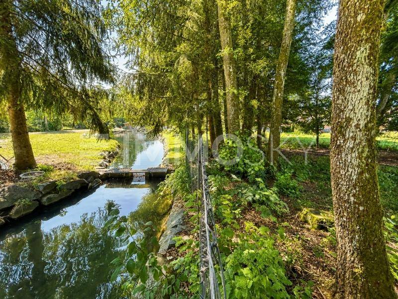 Blick auf den angrenzenden Bach