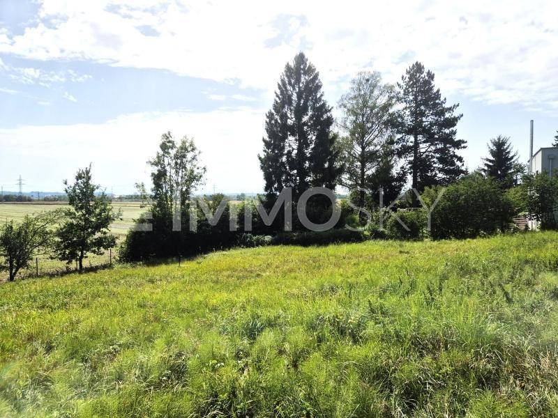 Weitläufige Grünfläche mit Baumbestand und Blick auf die umliegende Landschaft.