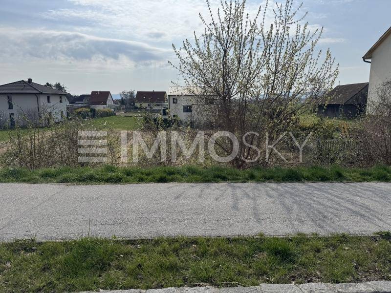 Grundstücksansicht von der Straße aus, mit trockener Wiese und Häusern im Hintergrund.