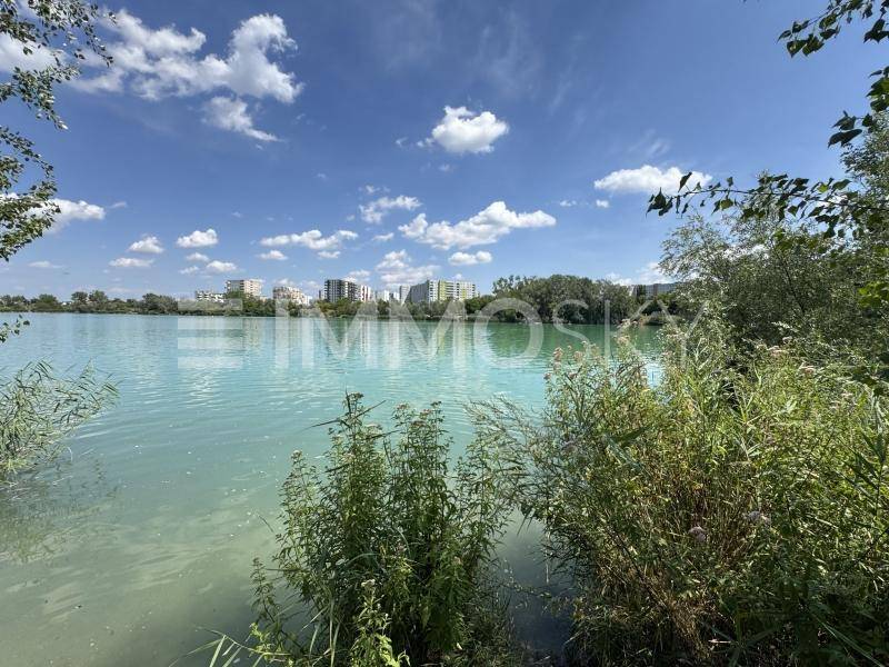 Weitläufiger Blick über einen ruhigen See mit Schilf und Gebäuden am fernen Ufer unter blauem Himmel.