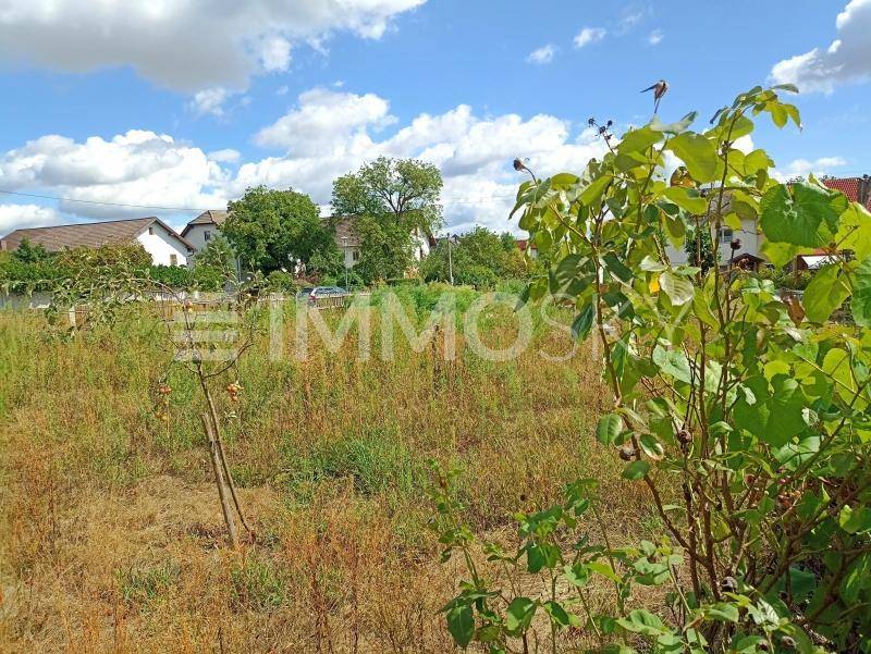 Unbebautes Grundstück mit üppiger Vegetation und einem Rosenstrauch im Vordergrund, umgeben von Wohnhäusern.