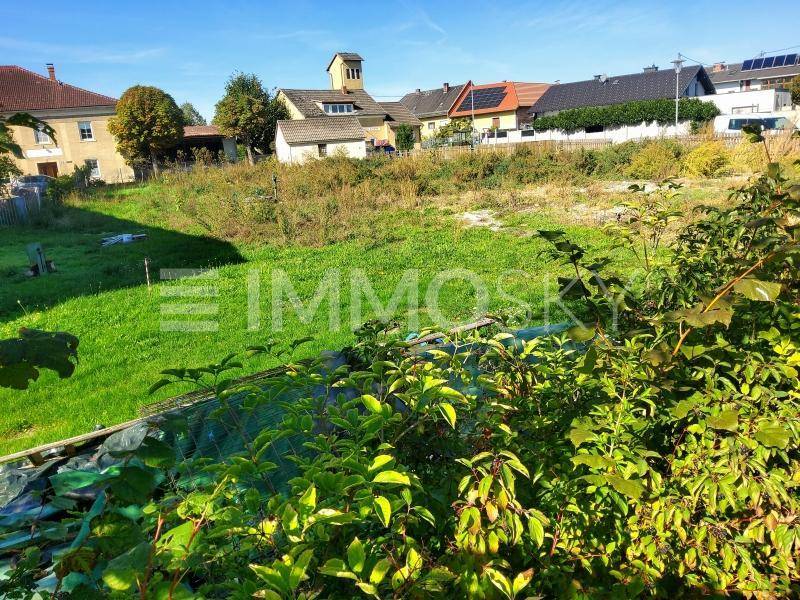 Grünes Grundstück mit unregelmäßigem Bewuchs und umliegenden Häusern bei Sonnenschein.