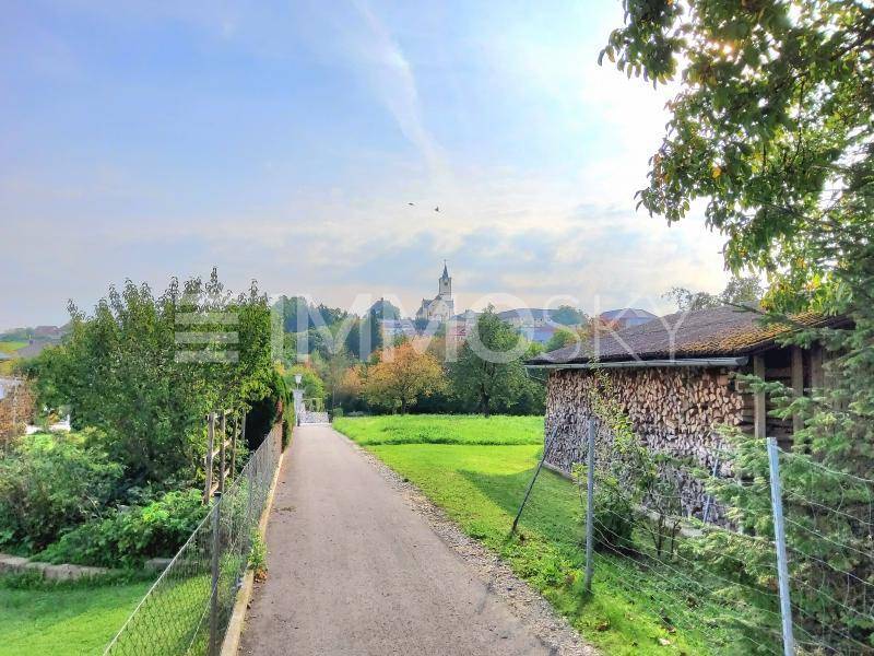 Nahblick und Weg in den Ort Hargelsberg