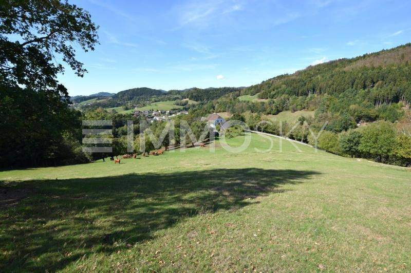 Blick zum Hof
