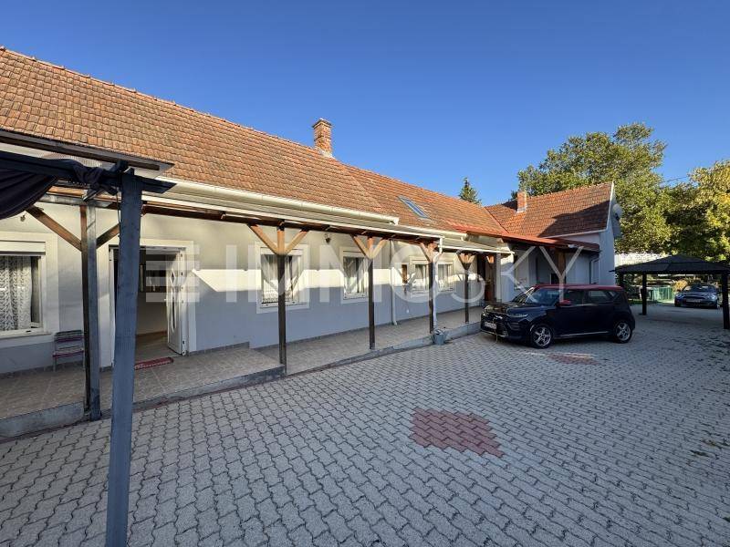 Seitenansicht des Hauses mit gepflasterter Einfahrt, Carport und weiteren Parkmöglichkeiten.