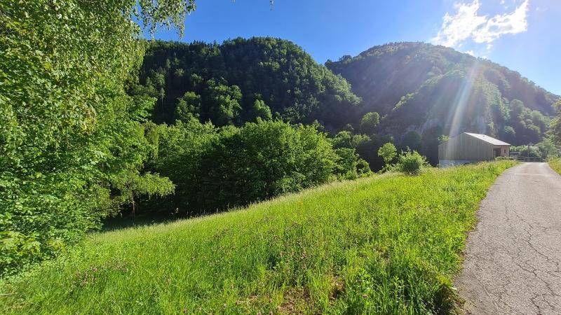 Sonnige Landschaft mit grünen Hügeln, einem Feldweg und einem Gebäude am Waldrand.