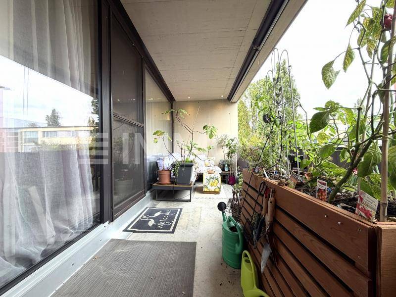 Langer Balkon mit zahlreichen Pflanzen, einem Sichtschutz und Blick ins Grüne.