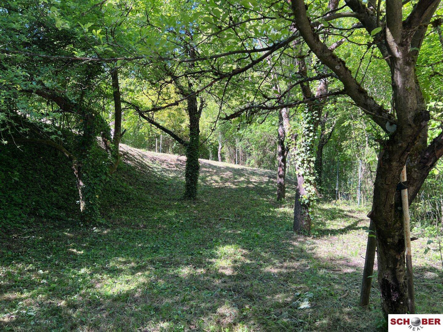 Naturbelassener Gartenbereich mit alten Bäumen und schattigen Plätzen zum Entspannen.
