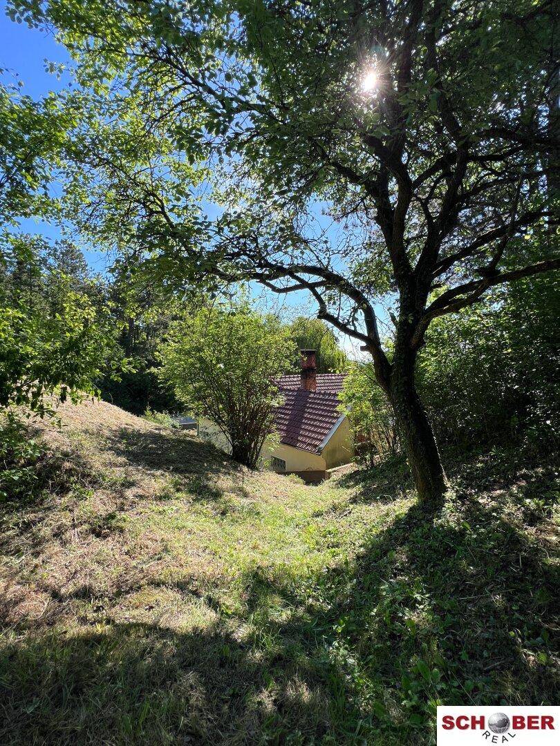 Kleines Gebäude versteckt zwischen Bäumen auf einem grünen, sonnigen Grundstück.