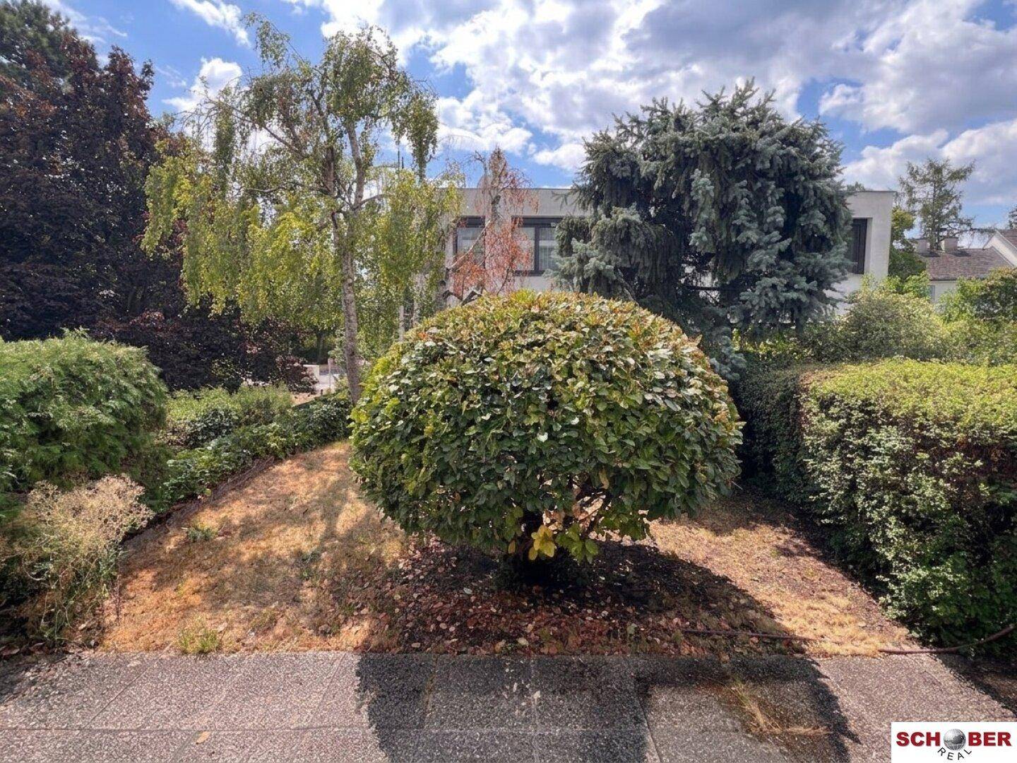Gepflegter Gartenbereich mit üppiger Vegetation und Bäumen, der zum Haus im Hintergrund führt.