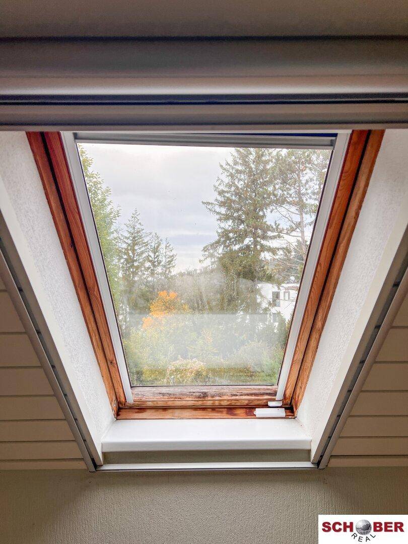 Dachfenster mit Holzrahmen, das Tageslicht in den Raum lässt und Blick ins Grüne bietet.