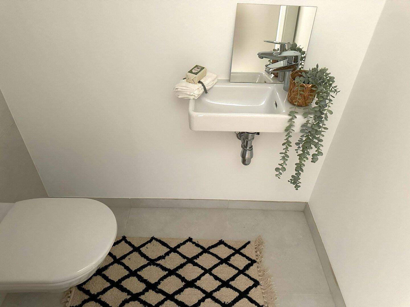 Kleines Gäste-WC mit Einzelwaschbecken und dekorativem Teppich.