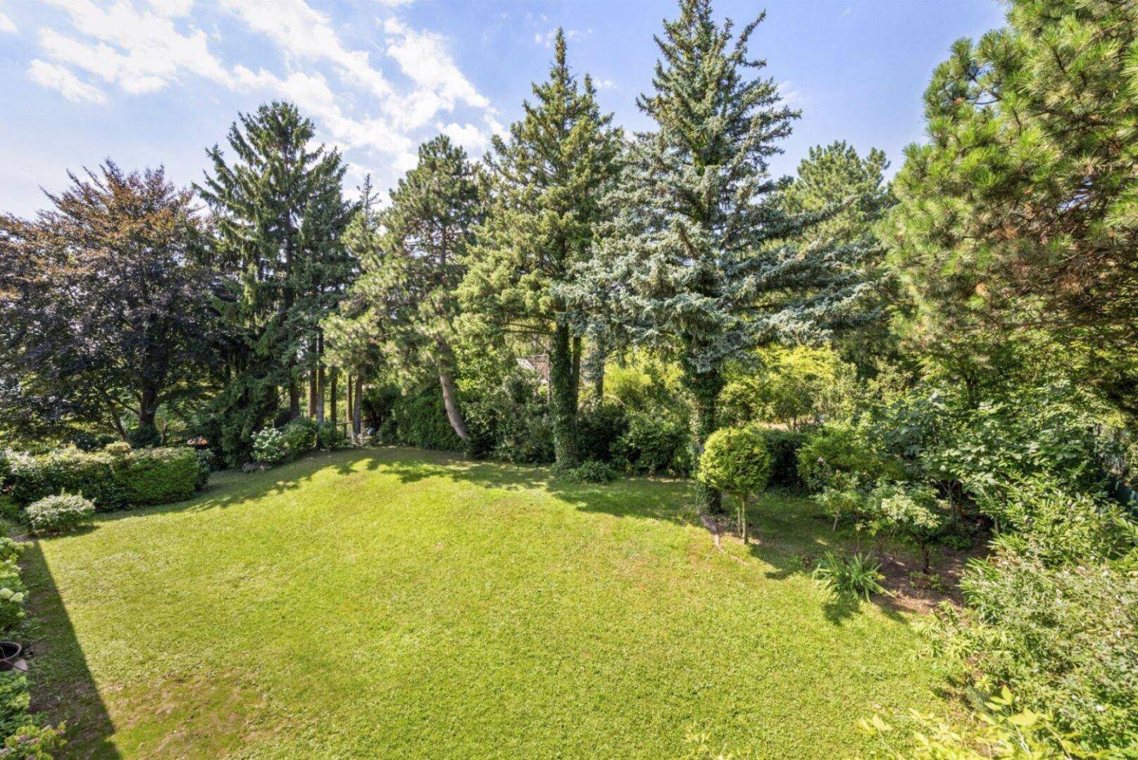 Gepflegter Gartenbereich mit großer Rasenfläche und altem Baumbestand, ideal zum Entspannen im Grünen.