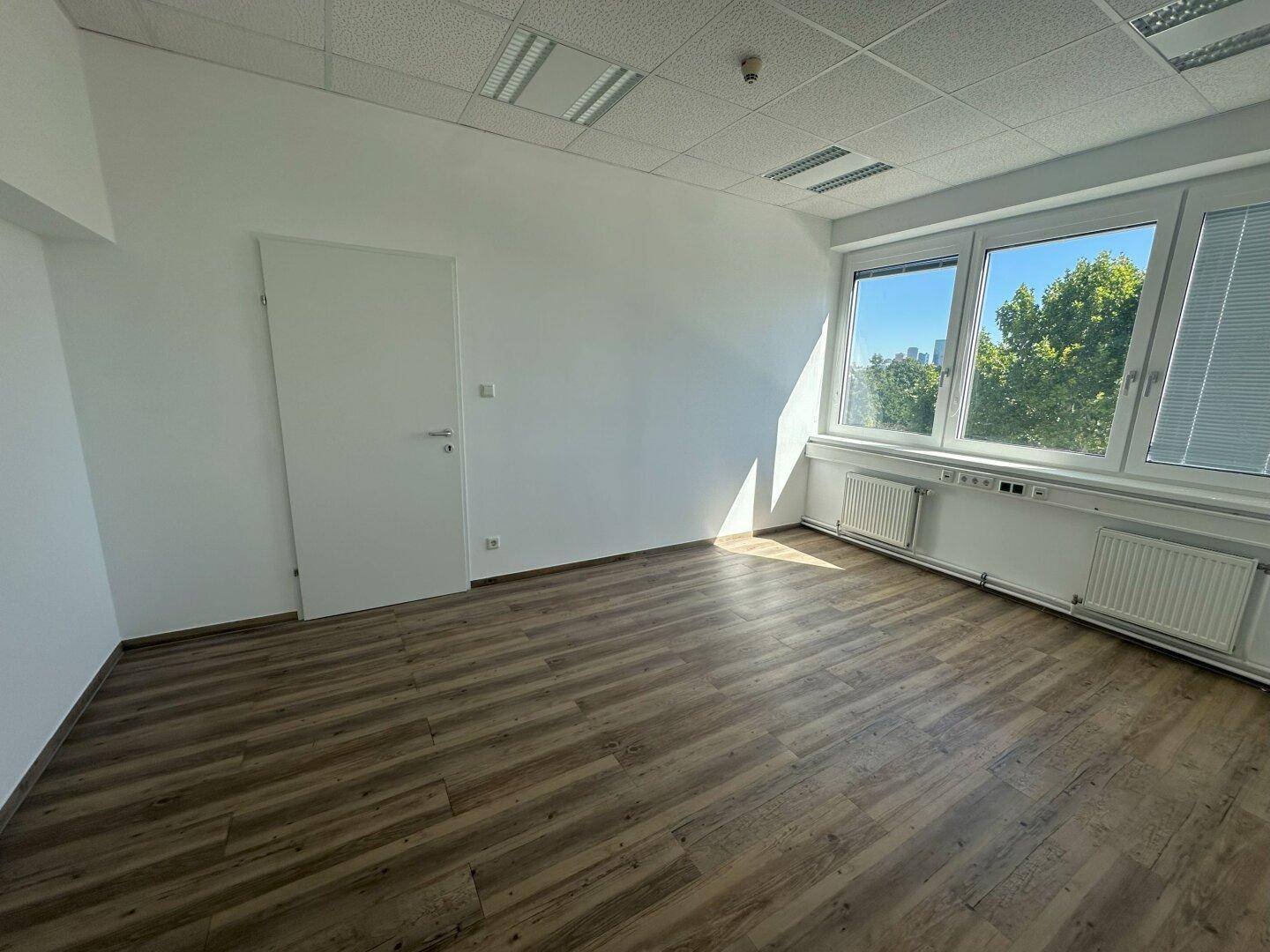 Leeres Büro mit Laminatboden, weißen Wänden und großen Fenstern mit Blick ins Grüne.