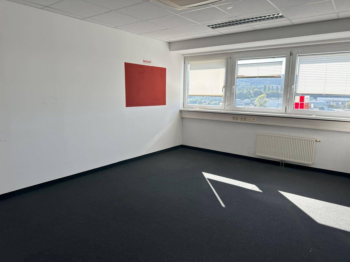 Helles Büro mit Teppichboden, großen Fenstern und Blick auf die grüne Umgebung.