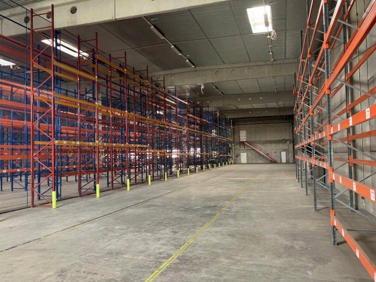 Große Lagerhalle mit leeren Hochregalen, Betonboden und Oberlichtern für Tageslicht.