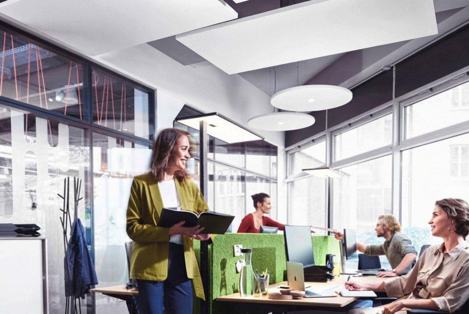 Offenes Büro mit modernen Arbeitsplätzen, schallabsorbierenden Deckenplatten und großen Fenstern für viel Licht.