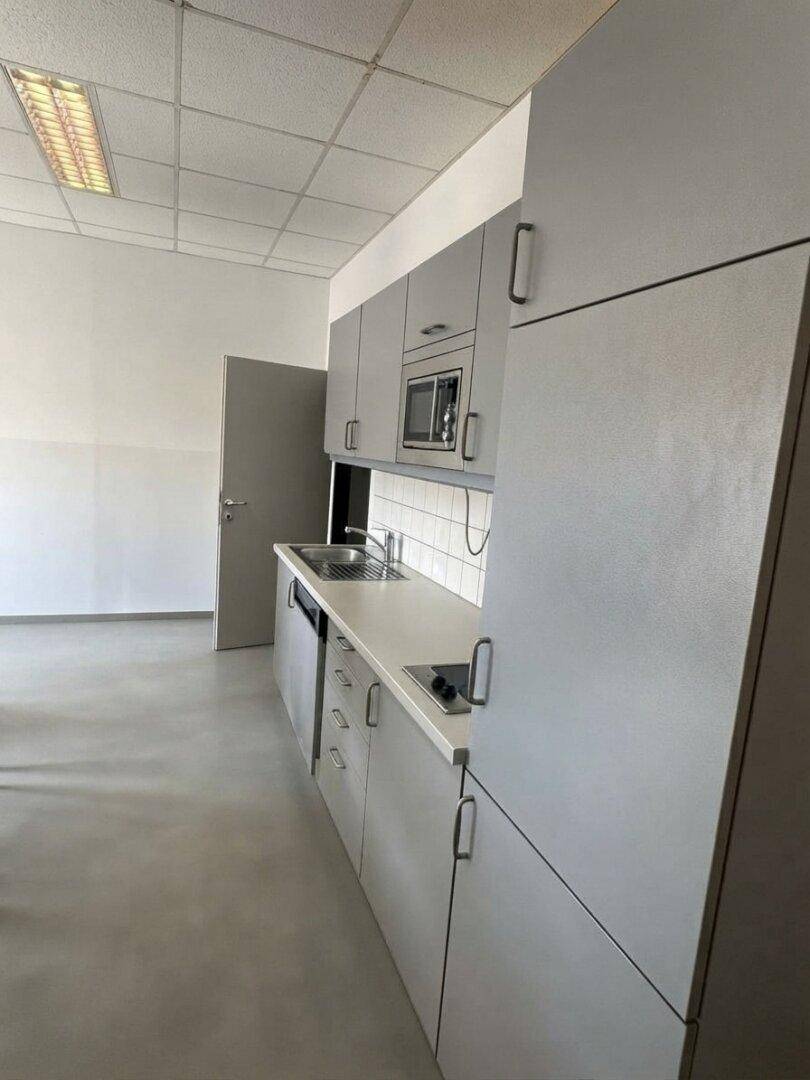 Moderne Küchenzeile mit grauen Schränken, integrierter Mikrowelle und Spülmaschine.