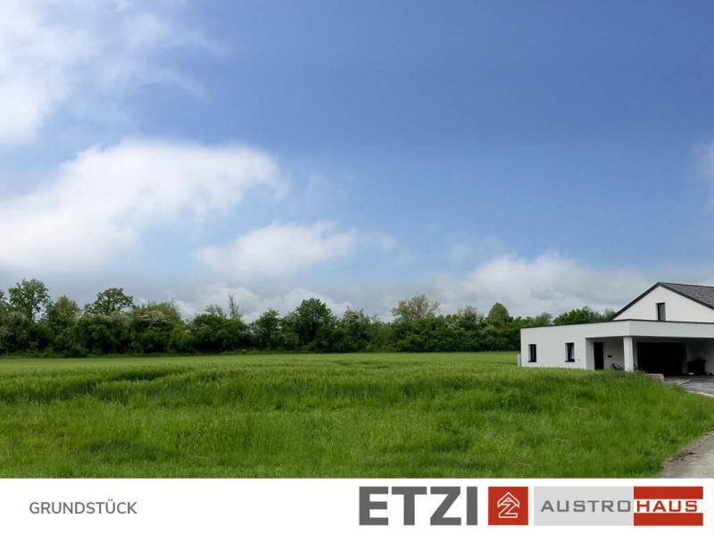 Großes grünes Feld mit einem modernen Haus am Rand unter bewölktem Himmel.