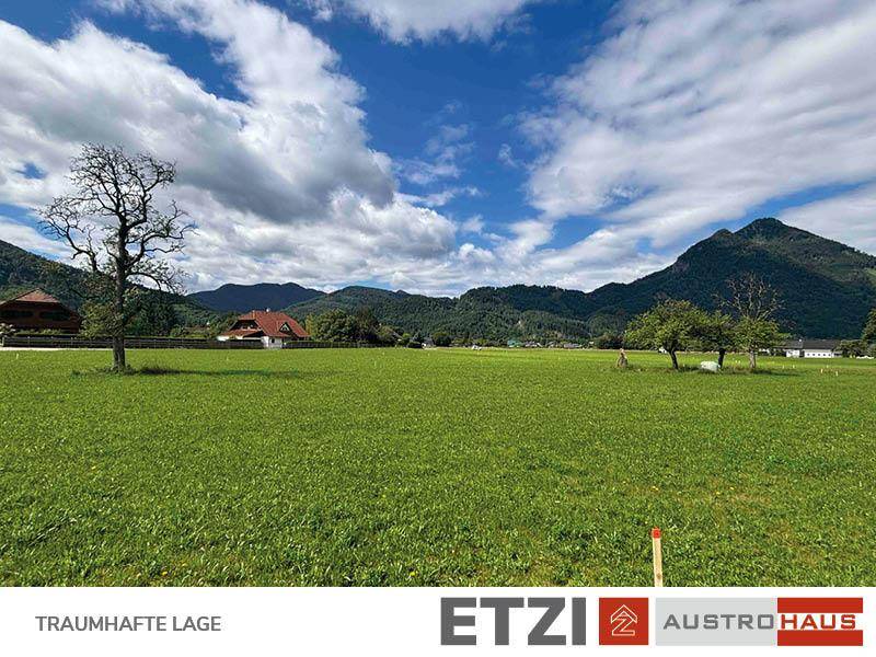 Idyllische Landschaft mit weiten Feldern, Bergen und vereinzelten Häusern unter blauem Himmel.