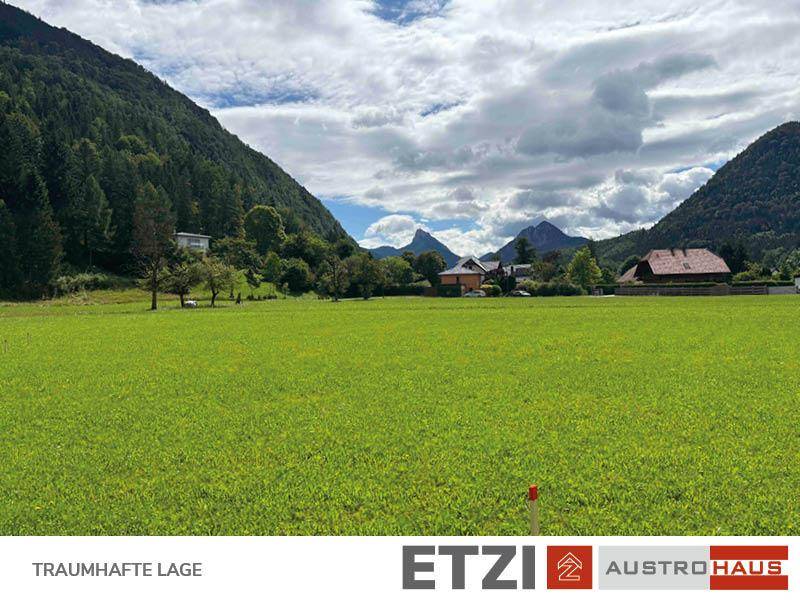 Weitläufige grüne Wiesenlandschaft mit beeindruckendem Bergblick und Häusern in der Ferne.