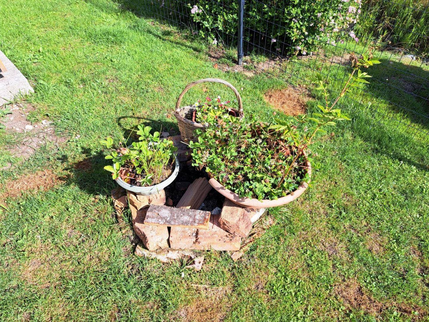Garten_Impressionen