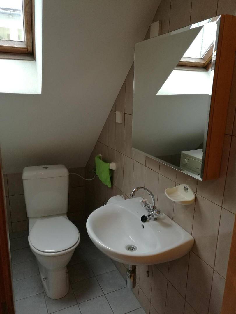 Kleines Badezimmer mit WC, Waschbecken, Spiegelschrank und Dachfenster unter schräger Decke.