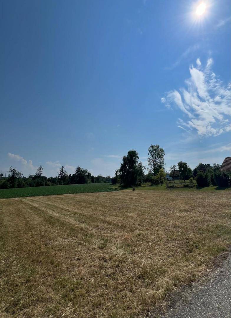 Sonniges Grundstück mit weitem Blick über Felder und Bäume an einem klaren Sommertag.