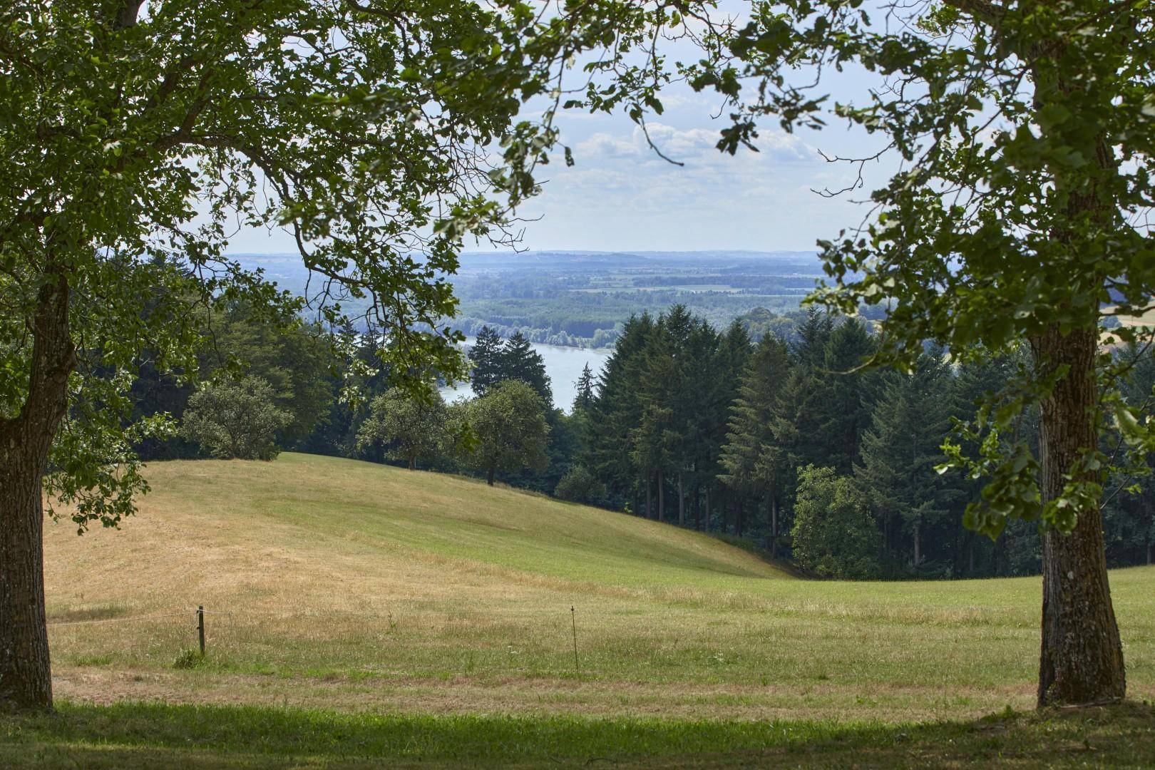 Weitläufiger Blick auf eine Seenlandschaft und grüne Felder, umrahmt von alten Bäumen.
