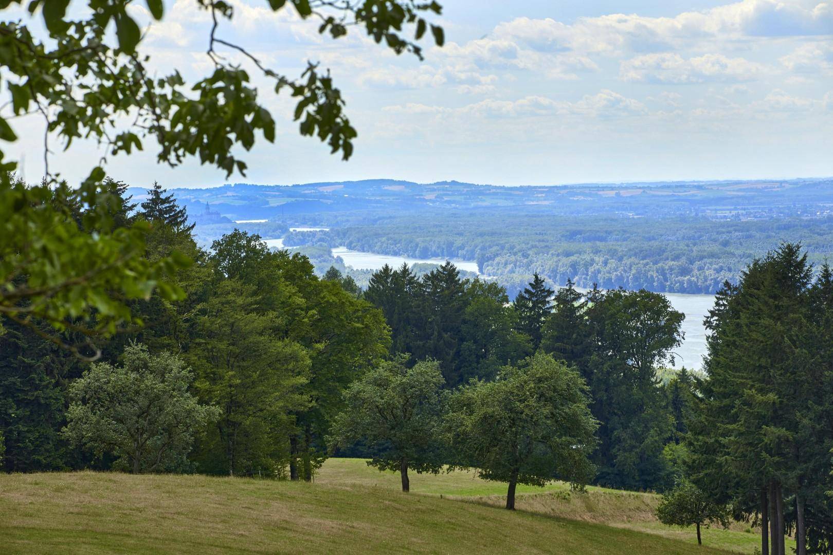 Weitläufiger Panoramablick über grüne Hügel, dichte Wälder und einen Fluss in der Ferne.