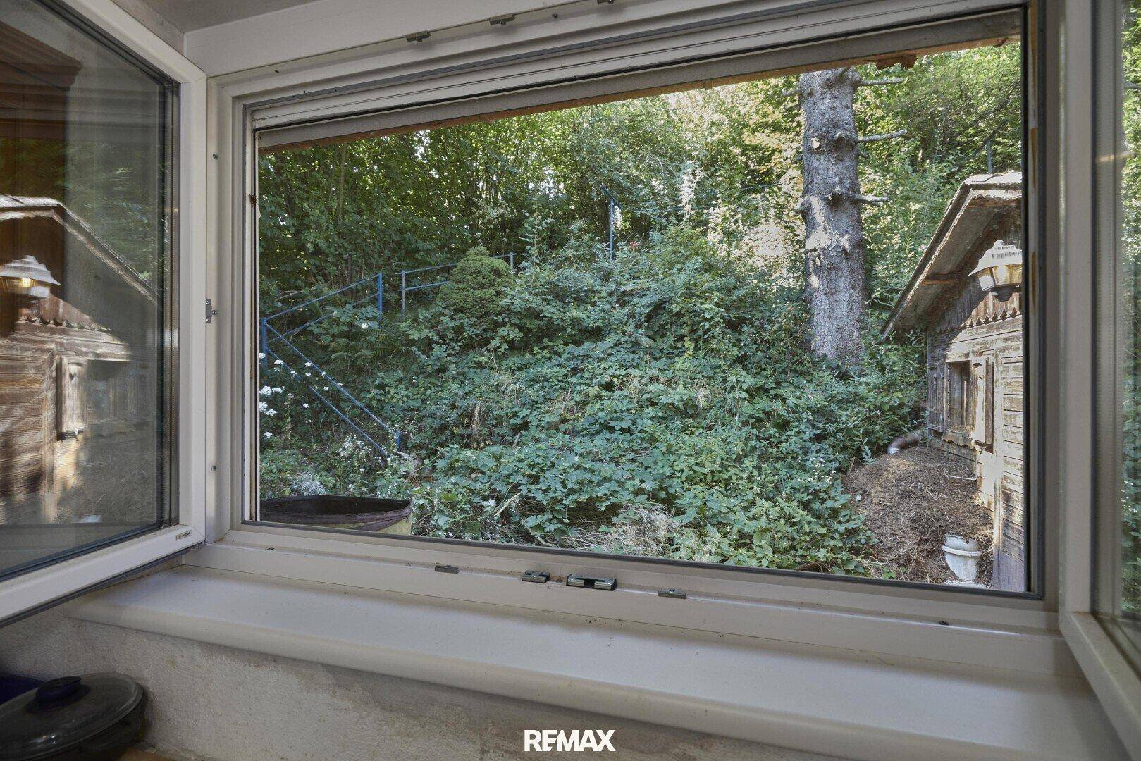 Blick aus einem großen Fenster auf üppiges Grün und die rustikale Fassade des Hauses.