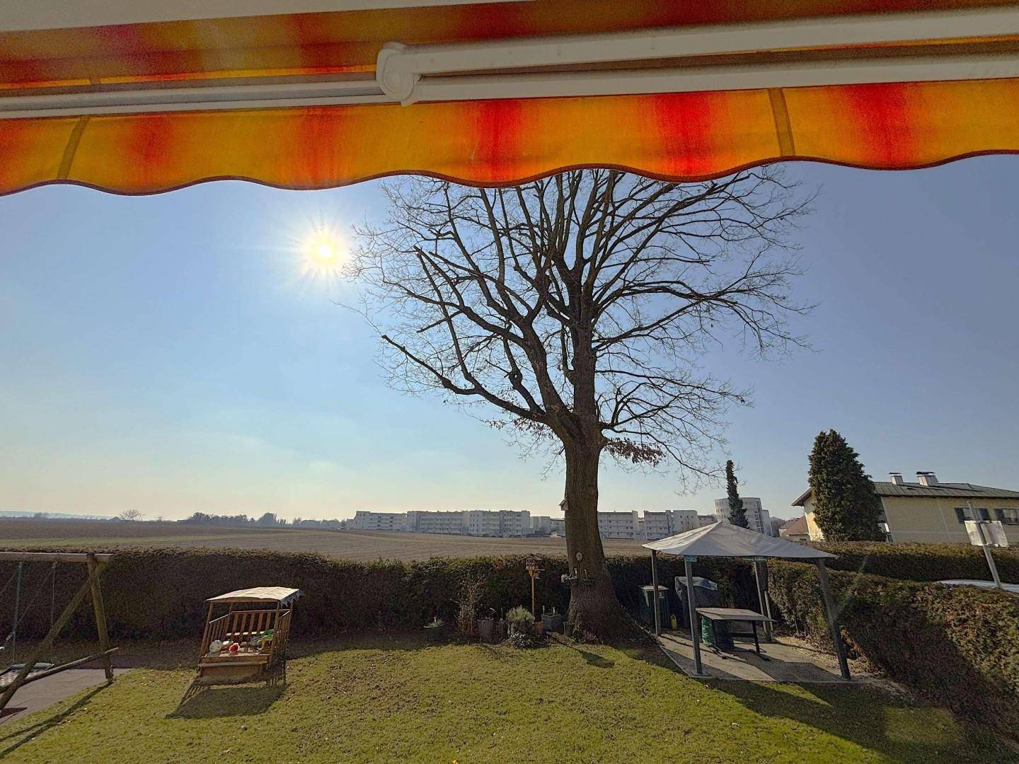 Weitläufiger Blick über eine grüne Landschaft mit großem Baum, Spielplatz und einem Pavillon unter strahlender Sonne.