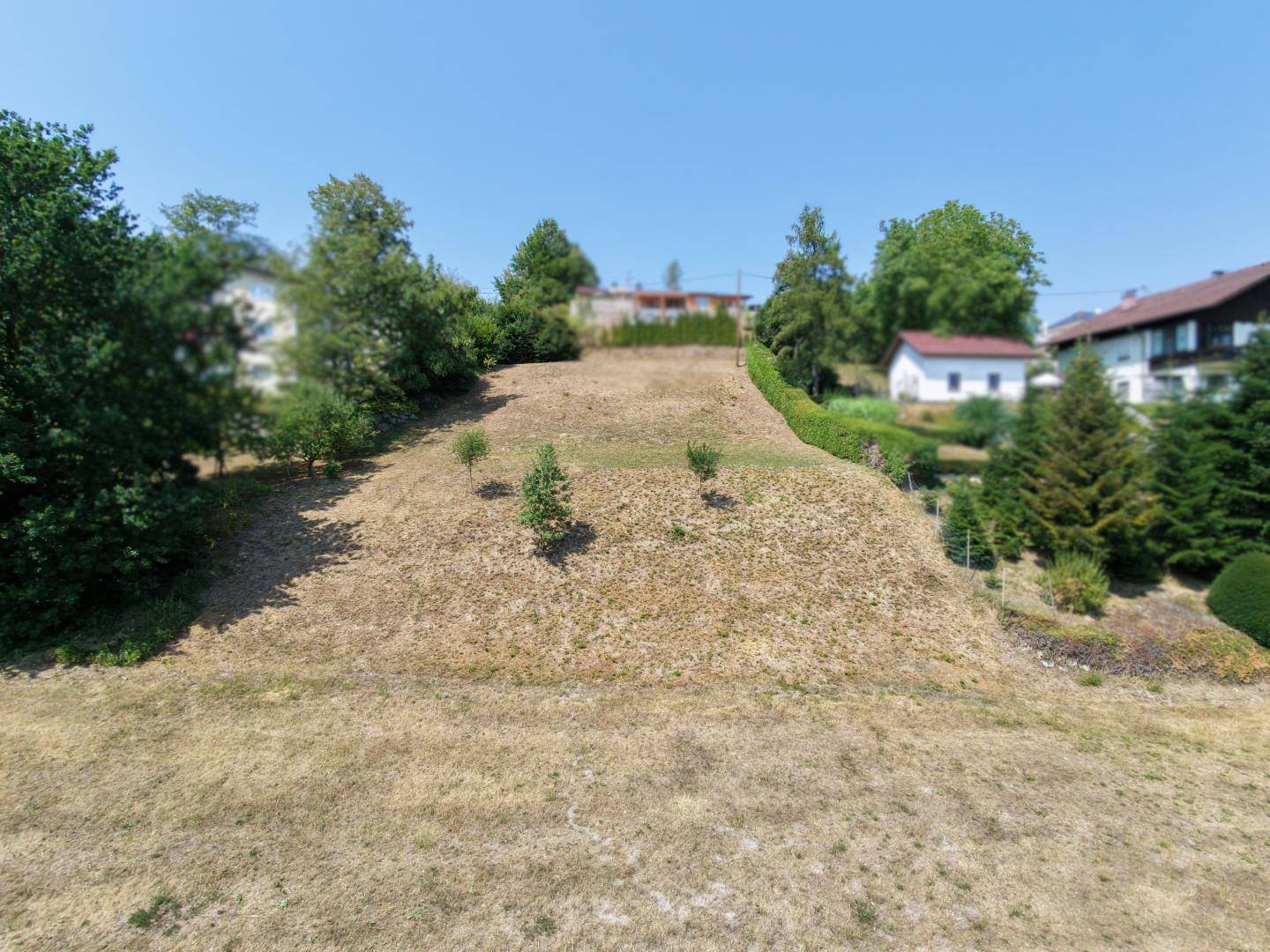 Blick auf ein trockenes, hügeliges Grundstück mit Häusern und Bäumen im Hintergrund unter blauem Himmel.