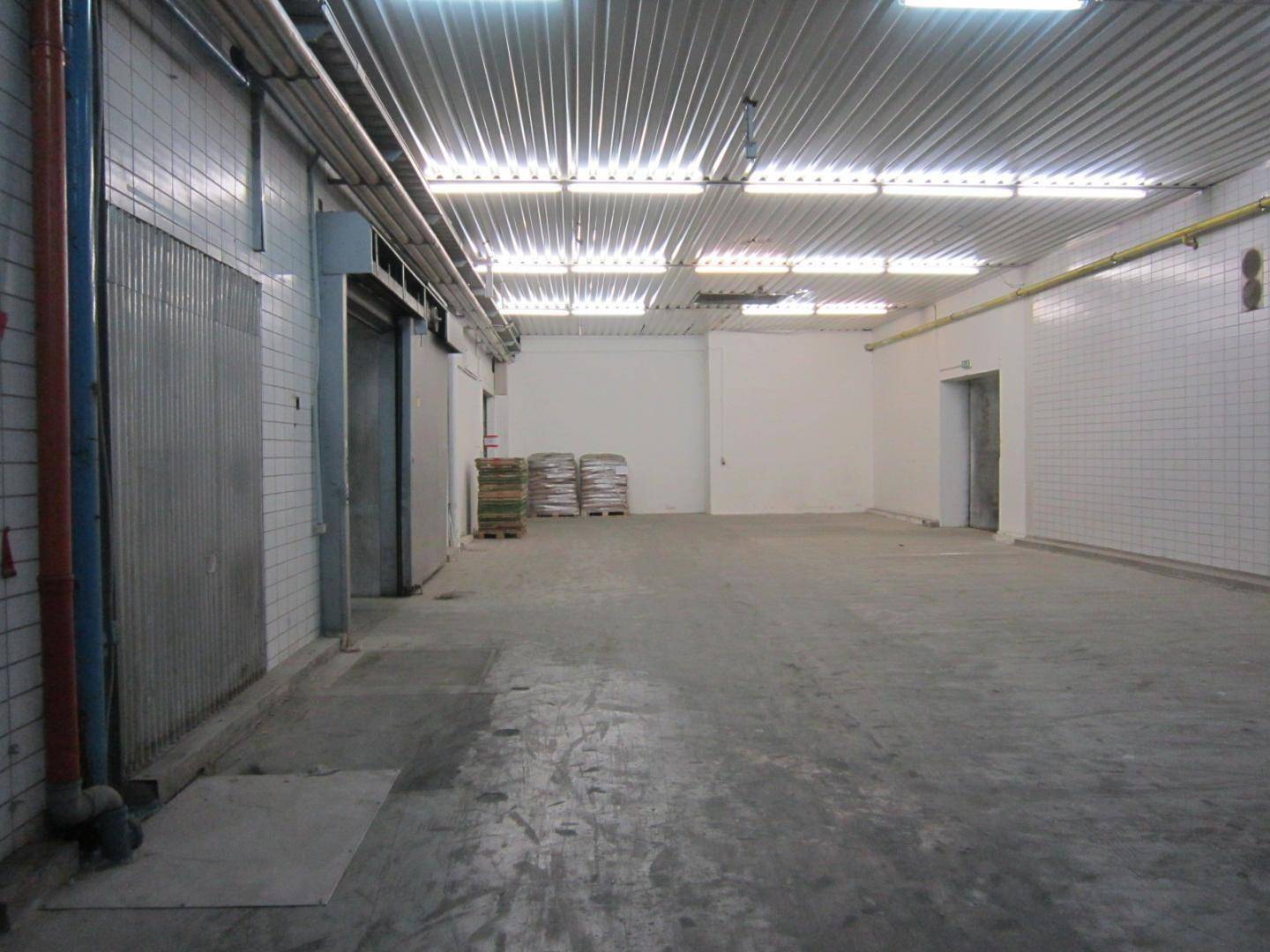 Geräumiger, leerer Industrieraum mit gefliesten Wänden, Betonboden und sichtbaren Versorgungsleitungen.