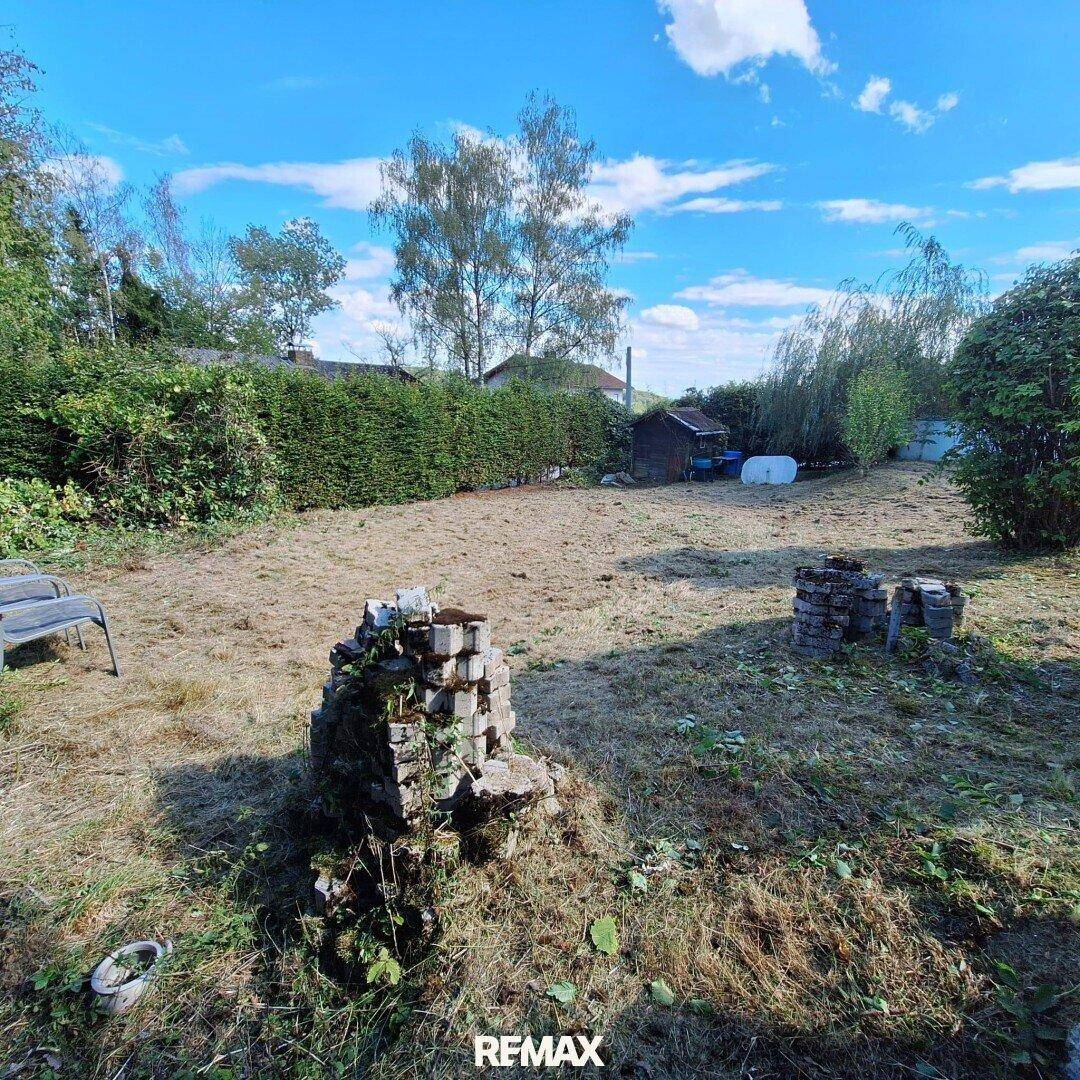 Weitläufiger Gartenbereich mit trockenem Gras, umgeben von Hecken und Bäumen unter blauem Himmel.