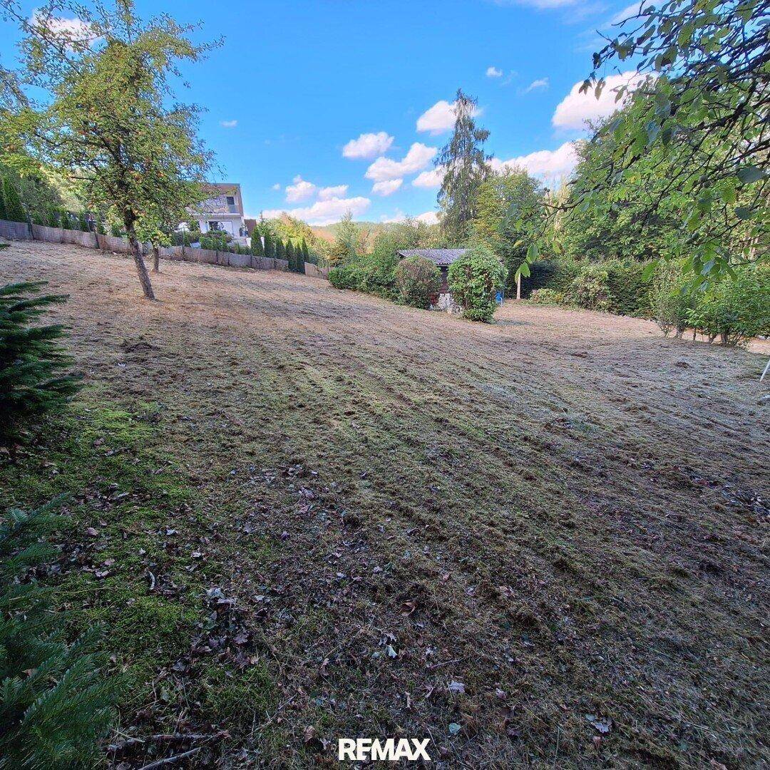 Hanglage des Gartens mit gemähtem Gras und Bäumen, im Hintergrund sind weitere Häuser sichtbar.