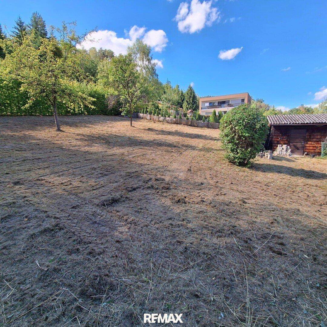 Großer Gartenbereich mit gemähtem Gras und Bäumen, im Hintergrund ist ein modernes Gebäude sichtbar.