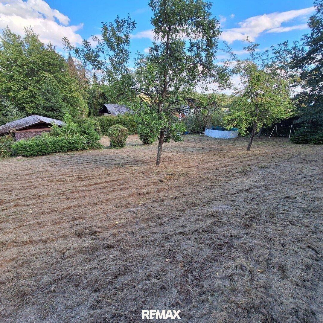 Weitläufiger Garten mit mehreren Obstbäumen und einem kleinen Pool im Hintergrund unter blauem Himmel.