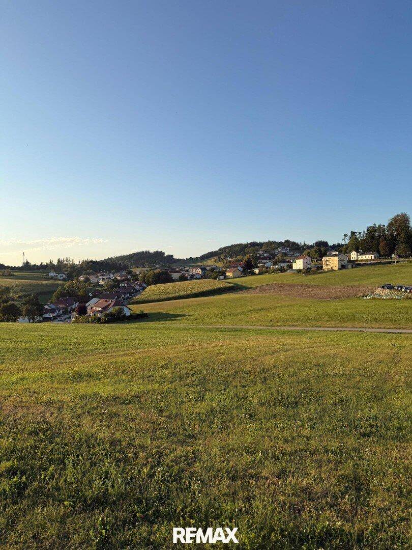 Panoramablick über grüne Wiesen auf eine malerische Ortschaft, umgeben von sanften Hügeln und Wäldern.