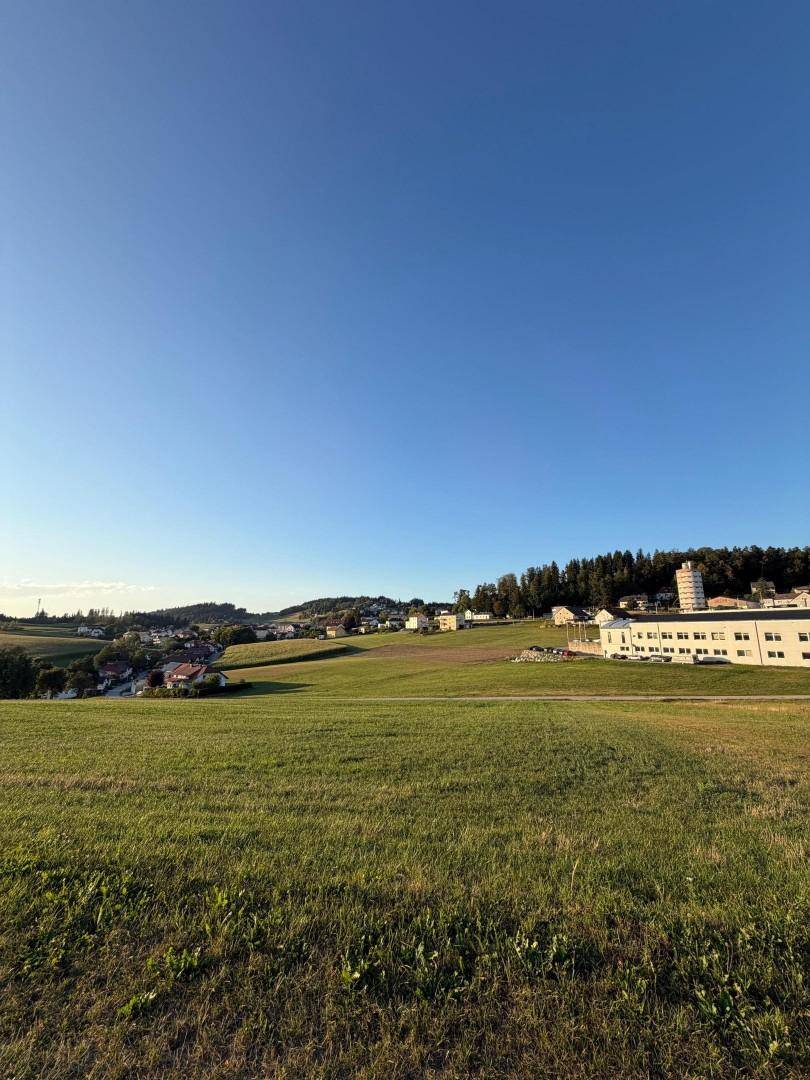 Idyllische ländliche Szenerie mit weiten Wiesen und einem Dorf am Horizont unter blauem Himmel.