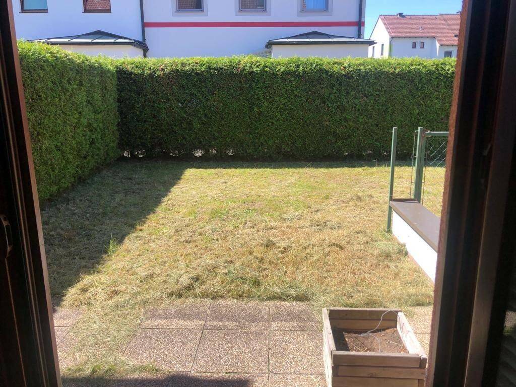 Blick vom Inneren auf den kleinen Garten mit Rasenfläche und Hecke.