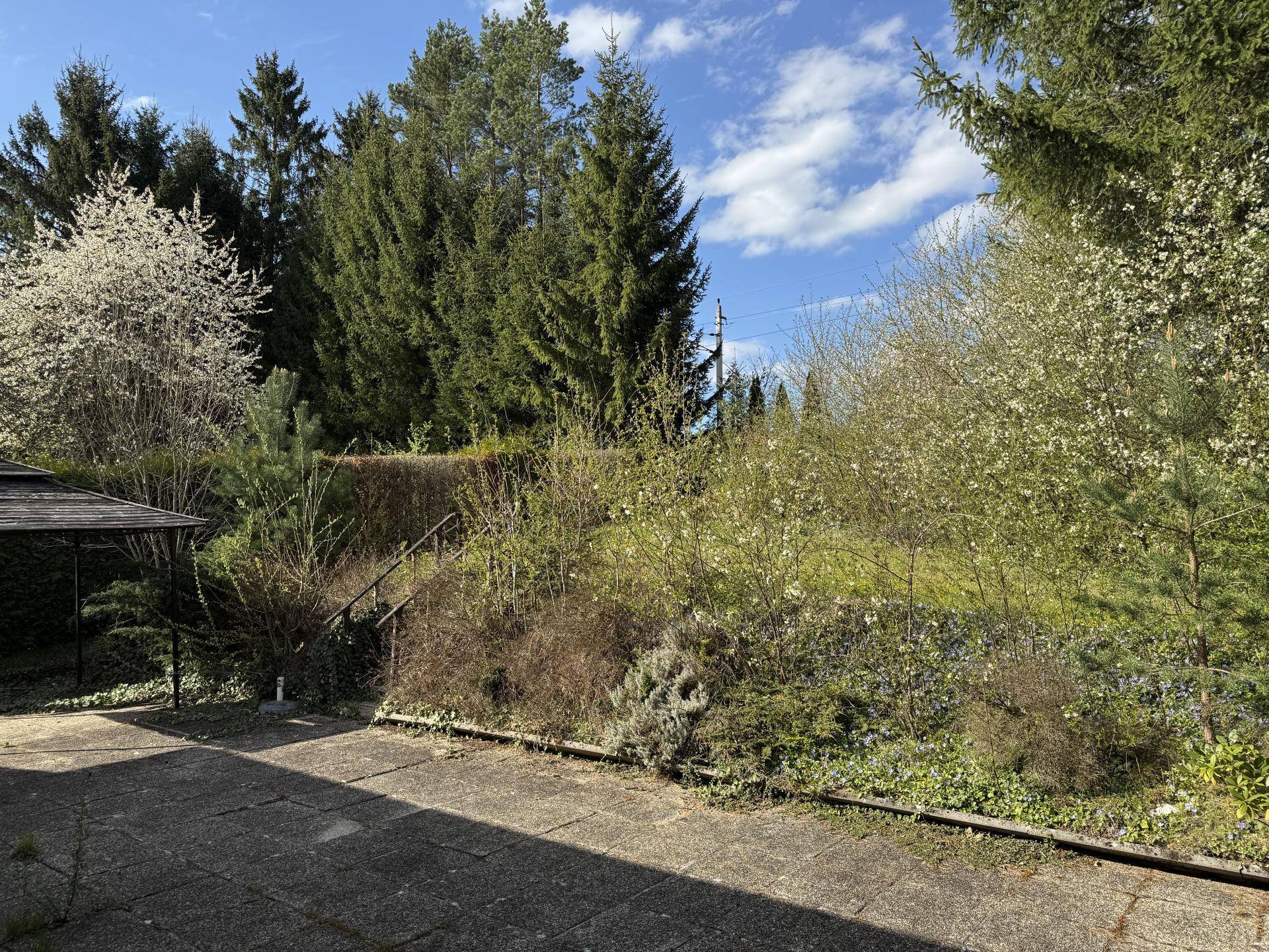 Garten Ansicht 2