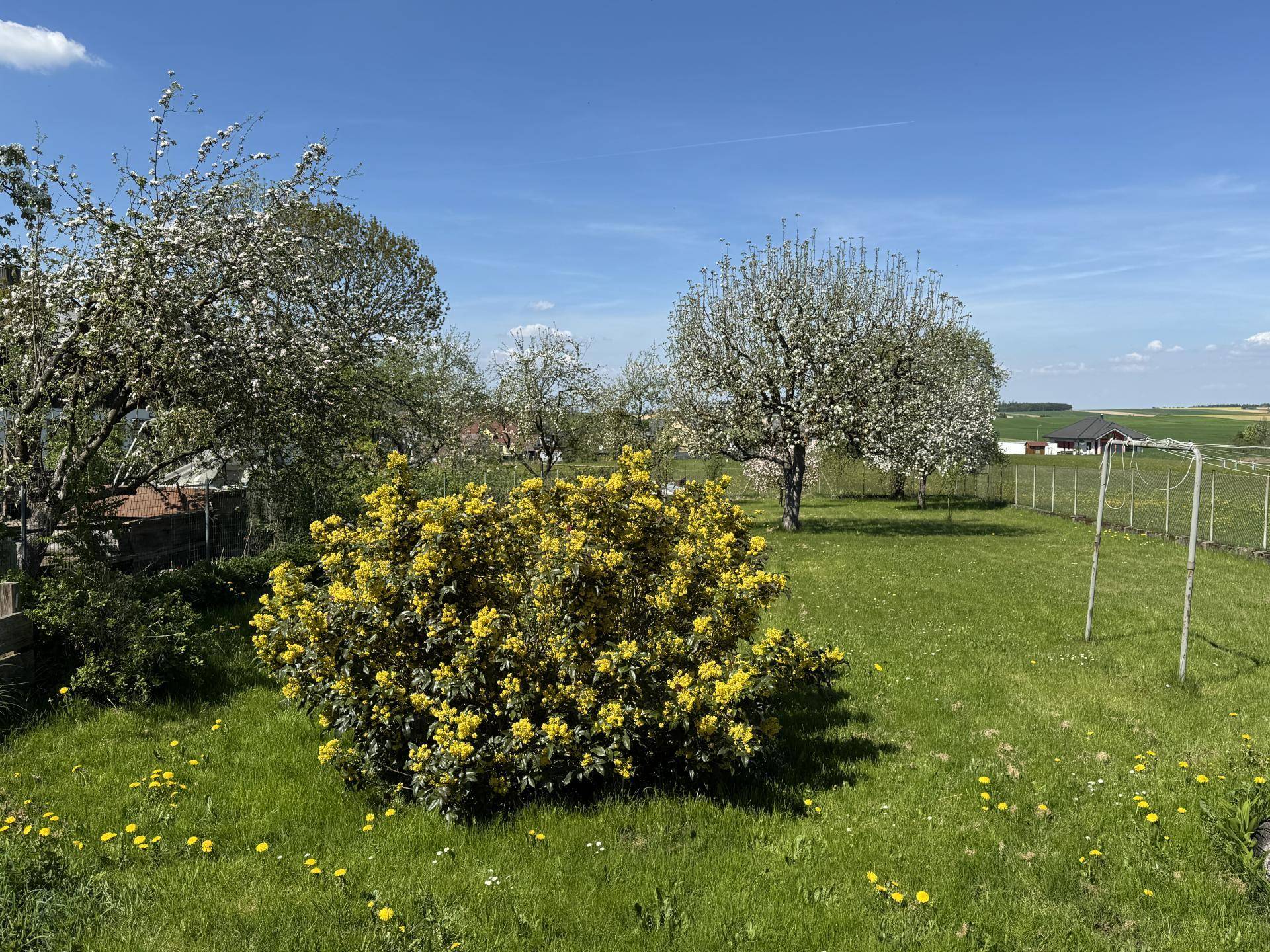 Hintausgarten Ansicht 1
